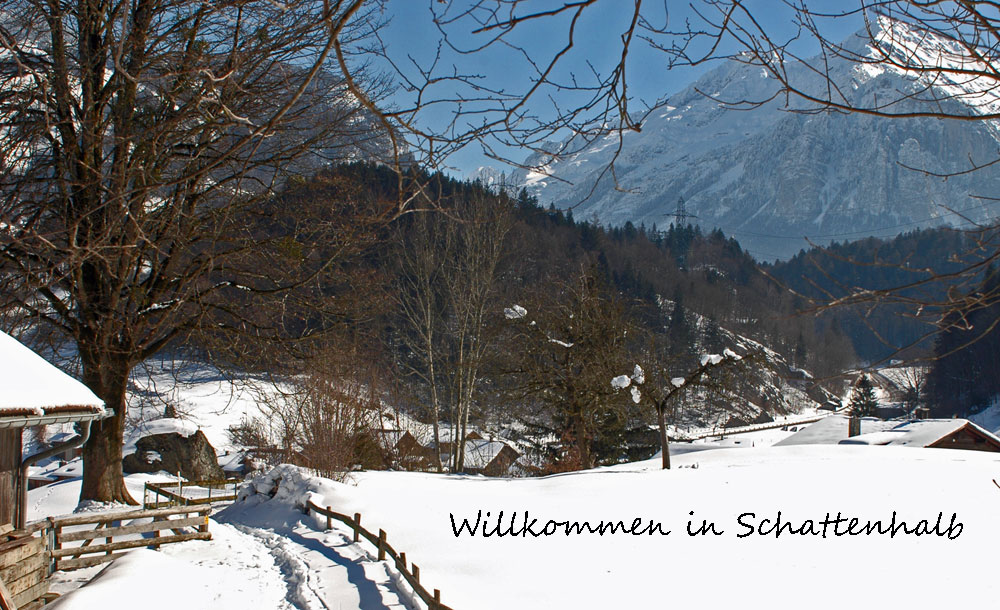 Winter 